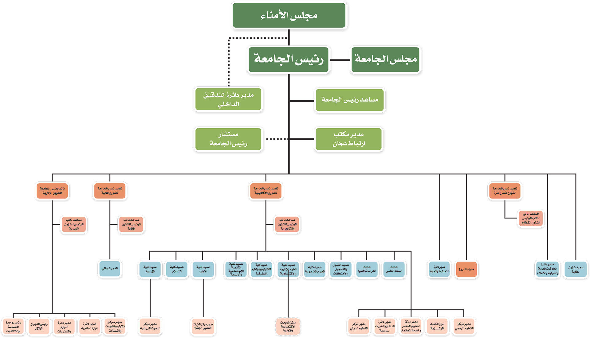 هيكلية الجامعة